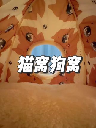 别看它洞口小,冬天睡起来可暖和了,还不漏风#猫窝 #养猫人 #狗窝 #萌宠好物