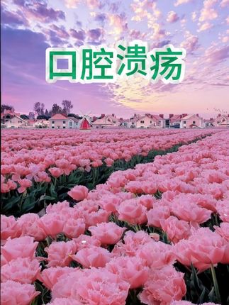 #穿搭#显瘦穿搭#小个子穿搭#夏季穿搭#裤子