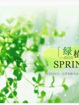 #水培观音竹 #室内绿植 #水培植物 #爱生活爱养花 #净化空气