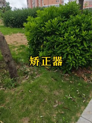 #木森推荐  #木森大舞台 #矫正器 #防驼背矫正器 #纠正器 防驼背矫正器女成年隐形男成人学生青少年儿童纠正