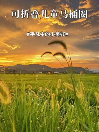 #无限回购的宝藏单品 #在抖音入手的好东西 #穿搭 #显瘦穿搭 #小个子穿撘 9.16w可折叠儿童马桶圈