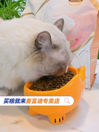 不知道怎么给小奶猫选粮?那来看这款麦富迪奶弗天然粮吧 #麦富迪奶弗#猫粮#新手养猫#好物推荐分享 #奶弗天然粮