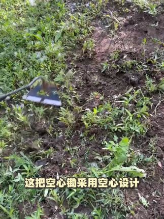 锰钢加厚空心锄,锄草不兜土,干活特别省力,全身淬火,锋利无比,铲草刷刷快#锄头#锄草#空心锄头