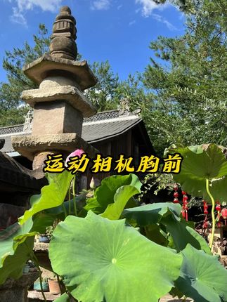 #记录仪