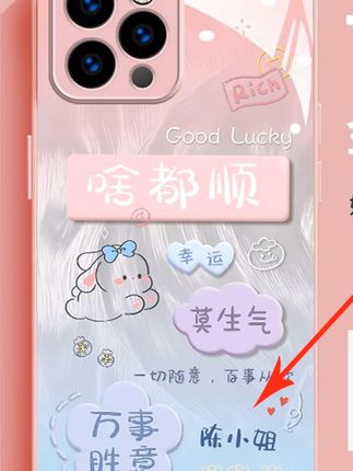 啥都顺!万事胜意!!! #手机壳# 手机壳推荐 #3c好物推荐# 这个手机壳真的长在我心巴上了 #啥都顺万事胜意
