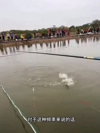 手工定制A60超轻量活结大物主线鲢鳙青鱼草鱼珠珠主线颗粒螺丝#鱼线 #鱼线推荐 #超轻鱼线 #高品质鱼线 #垂钓鱼线