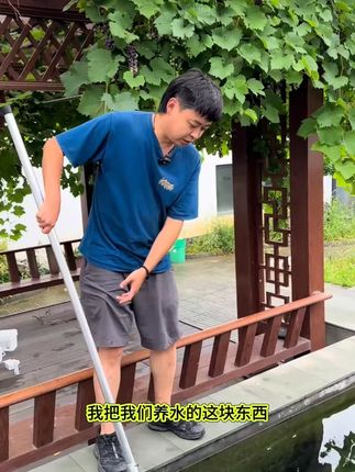 鱼池硝化细菌方锦鲤池菌砖材料消化细菌净化硝化过滤鱼缸净水魔方 #鱼池过滤 #消化细菌 #硝化细菌方 #净水魔方 #锦鲤池菌砖