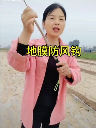 不锈钢地膜伸缩钩破地膜双钩可拉伸钩蒜苗神器菜苗农膜见风放风钩#地膜伸缩钩 #菜农工具 #不锈钢农具 #农业小帮手 #可拉伸钩子