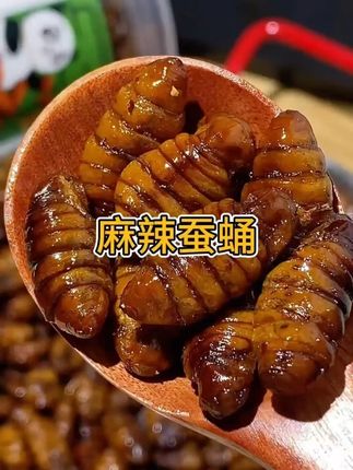 山东特产香酥蚕蛹即食高蛋白营养丰富下酒菜 #蚕蛹 #麻辣蚕蛹 #蚕蛹子味道不一般