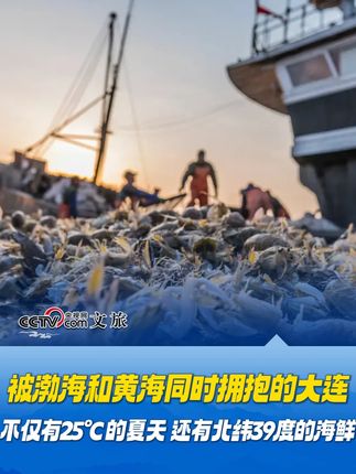 被渤海和黄海同时拥抱的大连,不仅有25℃的夏天,还有北纬39度的海鲜!#大连 #海鲜 #美食