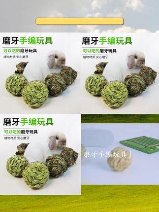 #兔子龙猫玩具 #草编球玩具 #提摩西草球 #宠物磨牙零食 #带铃铛宠物玩具 兔子龙猫解闷玩具草编球提草球提摩西带铃铛玩具磨牙零食宠物用品