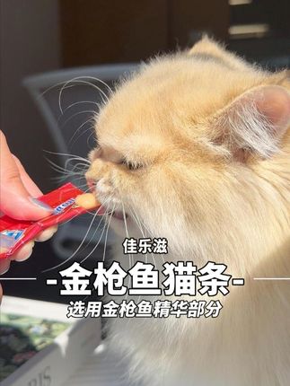 拍下猫条就有猫条挤压器,方便和毛孩子们互动~ #抖音美食推荐官 #拒绝浪费 #佳乐滋 #猫条 #佳乐滋猫条