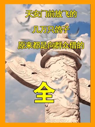 天安门前放飞的,几万只鸽子,原来都是向群众借的