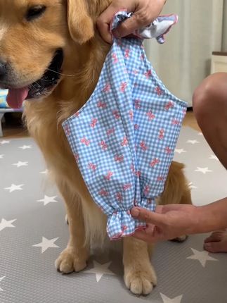 狗狗关节护肘衣中大型犬边牧金毛阿拉斯加拉布拉多护肘套#狗狗护肘衣 #中大型犬用品 #关节保护 #边牧护肘 #金毛护肘