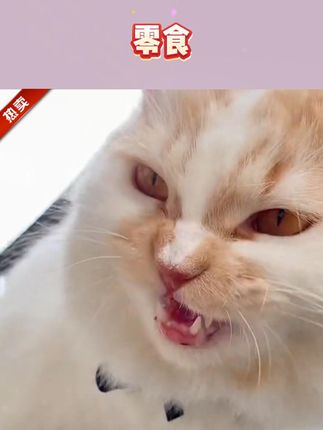 #薄荷猫饼干 #零食 #猫咪零食 猫咪零食薄荷猫饼干磨牙健齿猫草健康化毛去毛球洁齿营养吸收奖励#猫饼干 #洁齿猫饼干