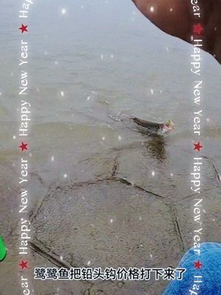 五倍加强铅头钩,关键这个价格打窝挂底都不心疼。 #路亚 #铅头钩 #五倍铅头钩 #铅头钩推荐 #路亚鳜鱼 鹭鹭鱼血槽铅头钩高强度拉力一体加强版防挂底鳜鱼路亚品牌铅头钩