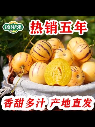 终于等到了这家的人参果,还是这个味道还是这个品质,一口爆汁又甜又多#云南石林人参果  #黄肉人参果  #清甜多汁  #人参果