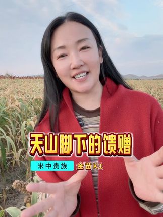 绿色食品认证,赤峰天山小米,金苗K1,直播间正在放福利,期待您的光临!#小米 #河南燕公子 #食品安全