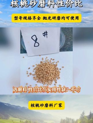 核桃砂磨料的性价比#核桃砂磨料 #抛光打磨 #文玩抛光 #塑料抛光 #金属抛光