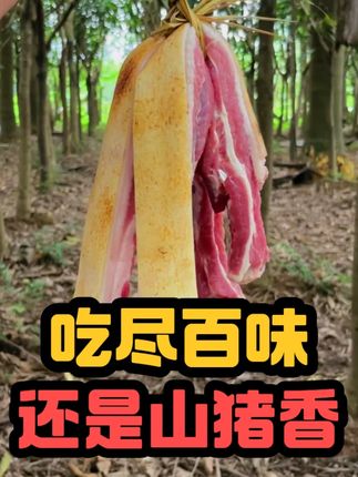 这个是我在农村大山找了很久的二代山猪肉,每块肉都红如玛瑙,一口香掉眉毛!满满儿时的味道!#野猪二代跑山猪#二代跑山猪#猪肉#散养土猪#五花肉