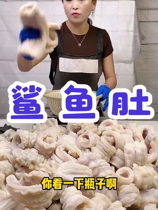 新鲜爽口脆肚鲨鱼肚鲜鱼胶鲨鱼肠营养优质冷冻方便美味饱满含量 #抖音美食推荐官 #源头好货 #海鲜美食 #鲨鱼肚