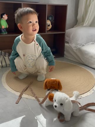 家有萌娃必入! 电动毛绒小狗耐啃耐摔,还能锻炼宝宝动手能力~#玩个很新的东西 #让孩子远离手机 #专注力培养 #儿童玩具 #送礼物