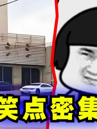 多巴安工作室
