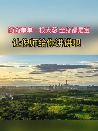 倪师讲:葱除了吃,还有其它妙用,看倪师的讲解 #传承中医文化 #中医养生 #知识分享 #倪师 #倪海厦