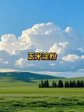 9.9到手3大袋玉米淀粉#超便宜超划算 平时勾芡调馅整个甜点都能用的上#玉米淀粉 #淀粉 #调味品 #抖音美好丰收节 #在抖音入手的好东西 #无限回购的宝藏单品