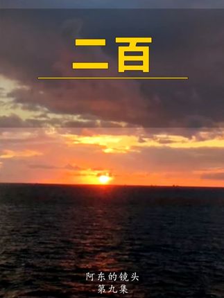谁又能拒绝得了夕阳下追着蝴蝶,追着风的二百呢? #日常vlog #治愈系 #狗狗的心思都写在脸上了 #热门小助手 #二百