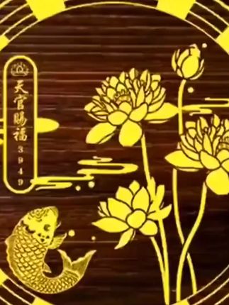 视频