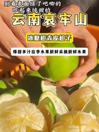 云南哀牢山冰糖橙!纯甜无酸,水份充足!全家大人小孩都爱吃#优质农产品 #新鲜应季水果 #脆甜多汁 #冰糖橙 #橙子