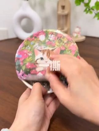 能吃猫草就不要喂化毛膏给家里舔毛怪种上吧 #猫草 #贪吃马猫草 #排毛球