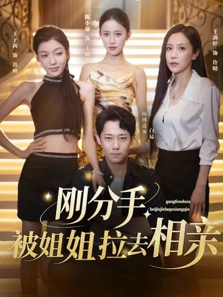 刚分手被姐姐拉去相亲(73集)-阿夹克斯