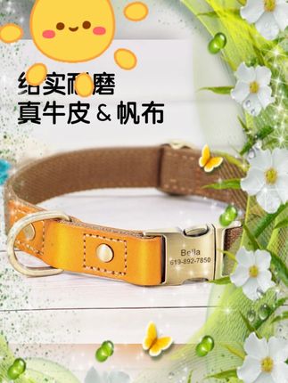 #狗项圈刻字 #防丢狗脖圈 #泰迪项圈 #拉布拉多脖圈 #中小型犬项圈 遛狗项圈刻字防丢狗脖圈中小型犬泰迪定制遛狗拉布拉多狗脖套金毛
