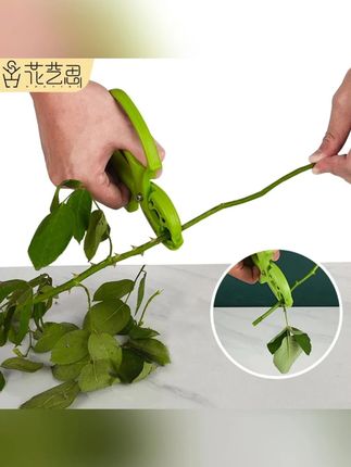 可利花艺花店打刺去叶修枝插花养花可换刀片多功能花卉专用剪刀 #花艺剪刀  #打刺去叶刀  #修枝剪刀  #可换刀片剪刀  #花卉专用剪