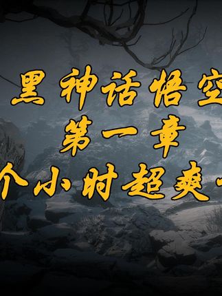 老6「使命召唤:战区」