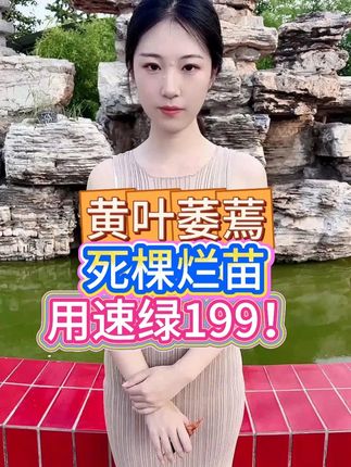 黄叶萎蔫 死棵烂苗 用速绿199! #三农 #农业种植 #种植技术 #三农种植
