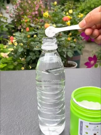 养花关键在于养根,这款生根粉就是养根神器!它能促进植物爆发式生根,效果超显著。无论是树木移栽,还是扦插育苗,用它就对了。有了它,植物根系更发达,生长更旺盛。让养花变得轻松又简单,大大提高花卉成活率。养花的朋友们别错过!#生根粉 #养花必备 #促进生根 #树木移栽 #扦插育苗