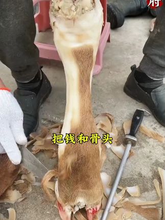 善谋者赢天下,能略者定乾坤,你玩不过看过《城府》的高手!#好书分享 #谋略智慧 #思维格局