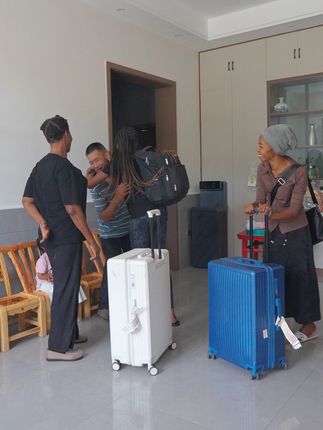 农村媳妇菲利丝