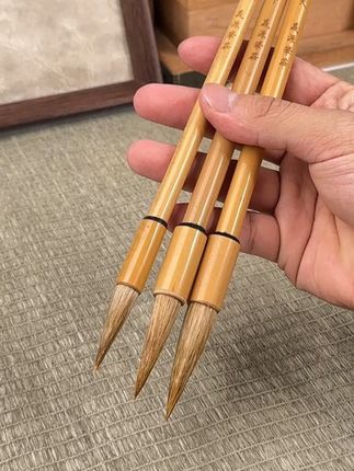 如何自学毛笔?如何选用毛笔?用这套太子狼毫毛笔轻松练习书法,奠定书法基础!#毛笔 #书法 #写字 #毛笔字