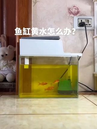 沃恒蛋白棉 鱼缸净水去黄水腥臭过滤材料 沃恒蛋白棉,鱼缸去黄水腥臭,净化水质超好用~# 蛋白棉 #鱼缸过滤 #水族用品 #在抖音入手的好东西