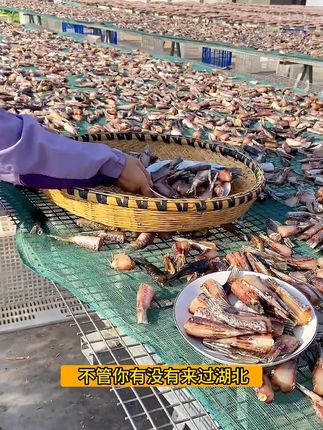 阳干鱼尾免洗免泡,不咸不淡半干风干草鱼尾非常好吃的阳干鱼尾又香又嫩下饭下酒都是一把好手#阳干鱼尾 太香了。