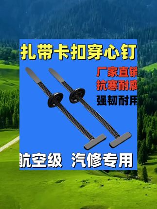 扎带卡扣固定穿心钉扎带式卡扣挡泥板叶子板内衬后备箱卡扣束线带 #户外运动 #户外爬山