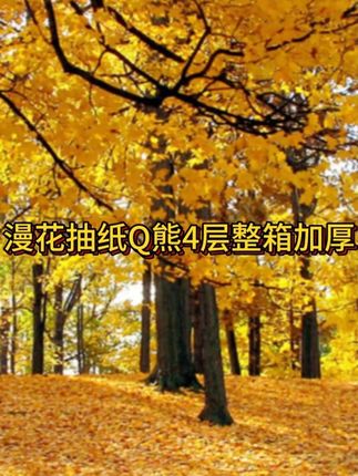 20多块钱到手24包抽纸,每一包360张,超划算,千万不能错过 #漫花 #纸 #厂家直销