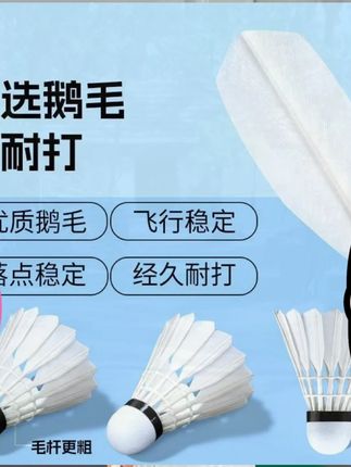 羽毛球耐打飞行稳定防风不易打烂鹅毛室内外比赛训练居家日用套装  #健身器材 #运动健身 #运动器材