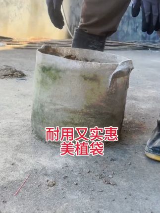 用了半年之后的美植袋,还好好的,还能接着用#美植袋 #家庭种植 #秋播 #花卉绿植 #种植小技巧