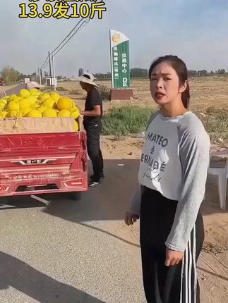 种在沙漠里的蜜瓜,产地现摘现发,好甜好好吃 #新鲜采摘  #农产品  #应季水果  #民勤蜜瓜  #新鲜水果