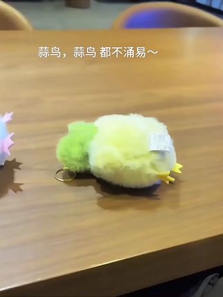 蒜鸟 蒜鸟 都不涌意~ #蒜鸟 #玩个很新的东西#毛绒玩具 ##毛绒公仔 #挂件